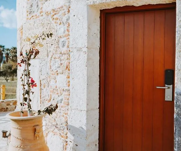 Traditional Windmill *